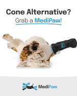 Dog laying upside down wearing a blue MediPaw boot with text 'Cone Alternative? Grab a MediPaw!' and MediPaw logo.