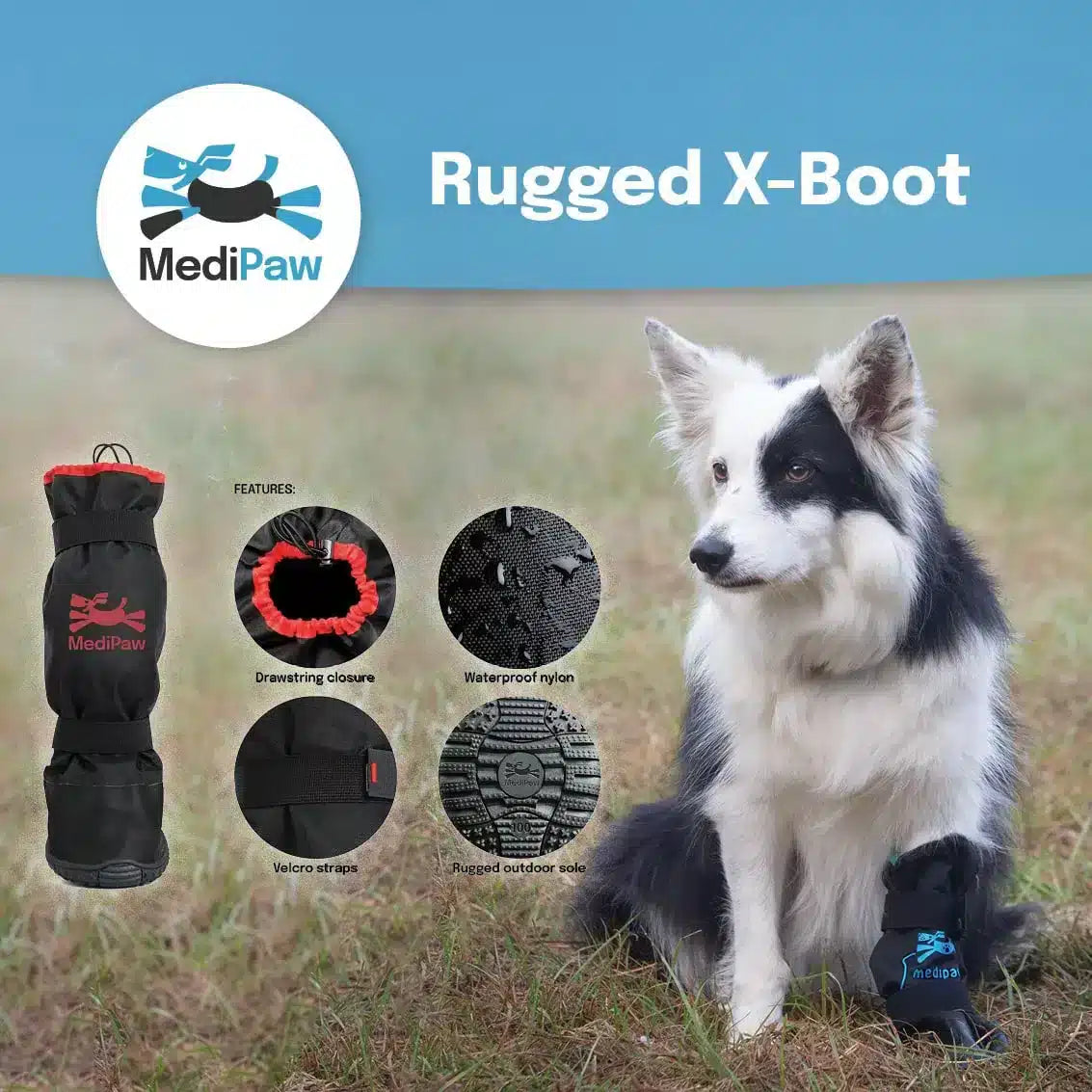 Dog wearing Rugged X-Boot with MediPaw branding and features displayed.