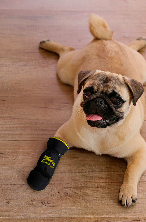 Pug lying on a wooden floor with a black protective medipaw boot on its paw.