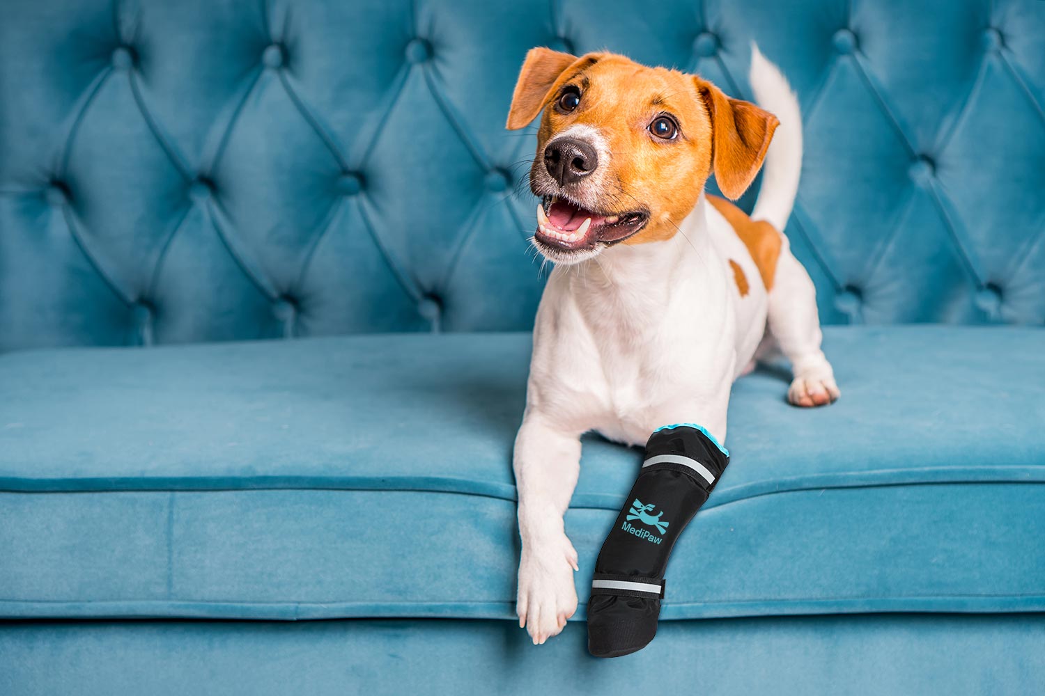 Dog with a bandaged paw wearing a MediPaw boot on a blue couch