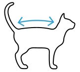 Outline of a cat with a blue line and arrows indicating a length measurement