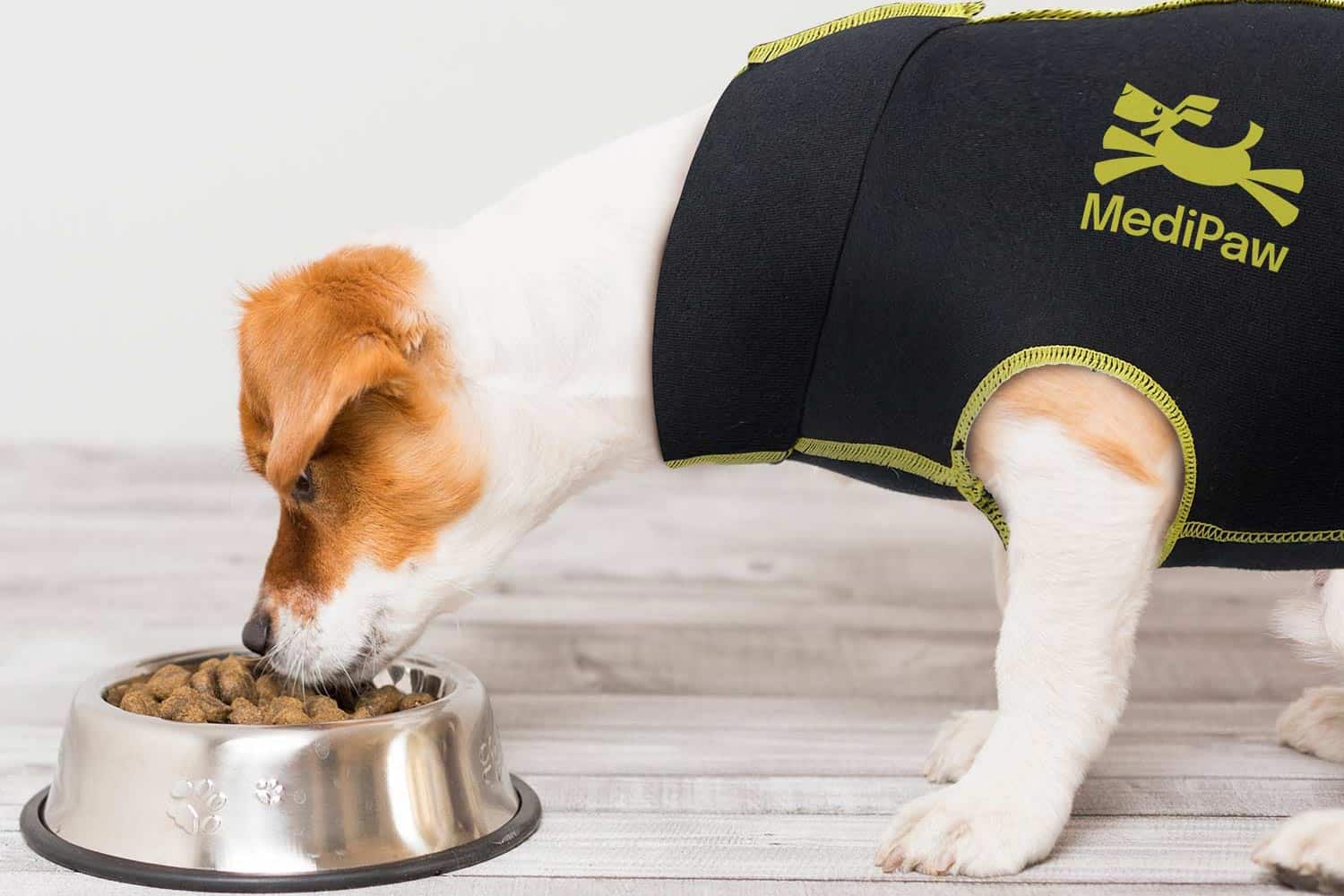 Dog wearing a MediPaw jacket eating from a bowl on a white surface