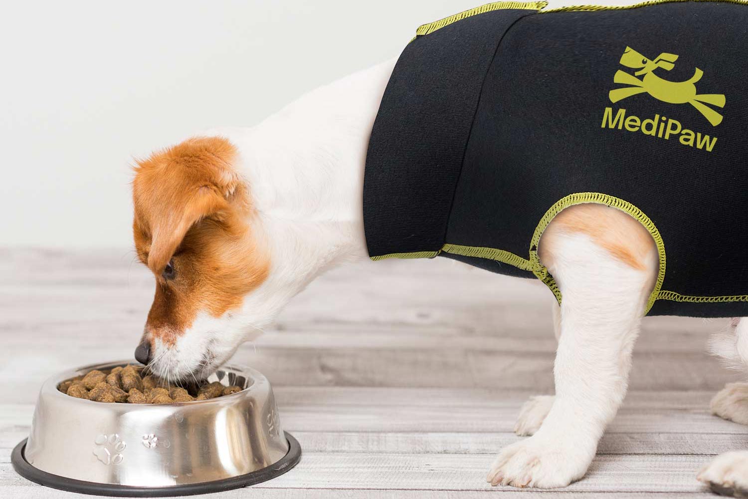 Dog wearing a MediPaw surgical suit eating from a bowl.