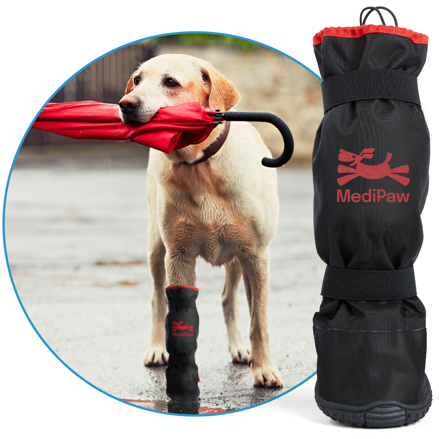 A dog holding a red umbrella in its mouth while wearing a black boot. To its left is a Rugged-X boot featuring the MediPaw brand.