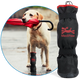 A dog holding a red umbrella in its mouth while wearing a black boot. To its left is a Rugged-X boot featuring the MediPaw brand.