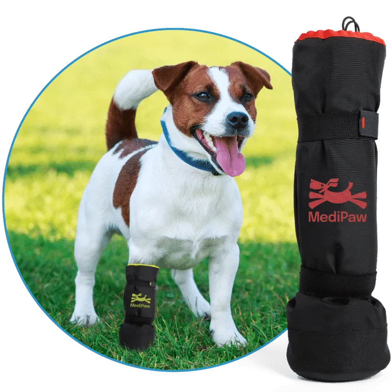 A dog on a grassy field while wearing a black boot. To its left is a Soft Bandage boot featuring the MediPaw brand.