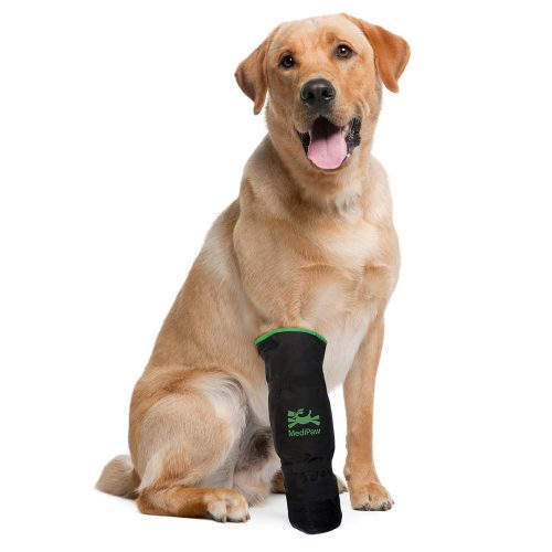 Big dog wearing soft bandage boot