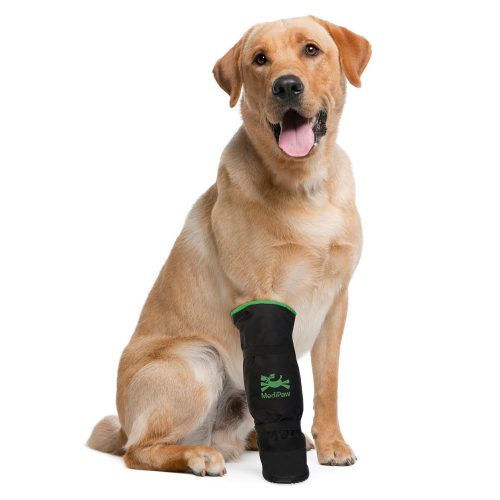 Yellow lab wearing x-boot on paw