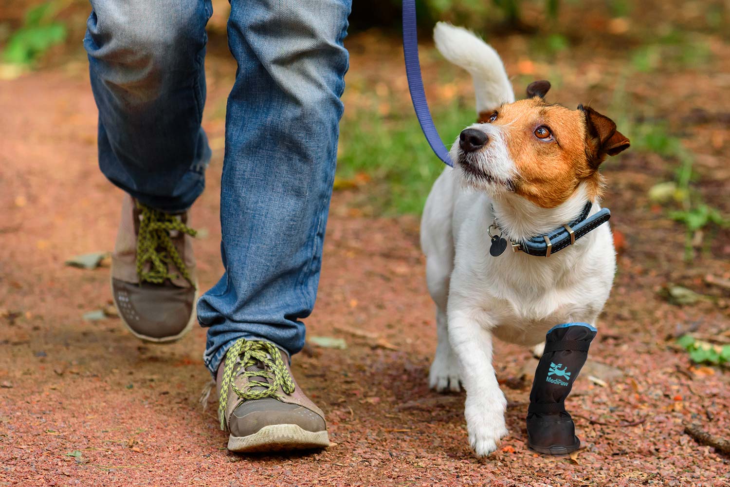 Medipaw Dog Cone Alternative Stop Buying Dog Bandages