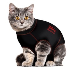Grey tabby cat with orange eyes wearing a two-piece cat suit