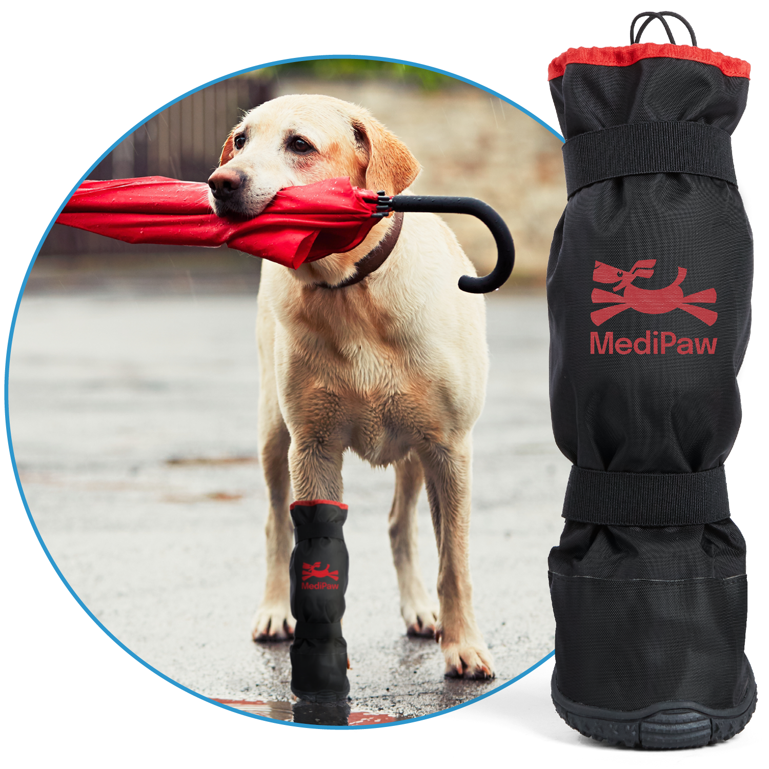 yellow lab holding umbrella in mouth wearing rugged x boot