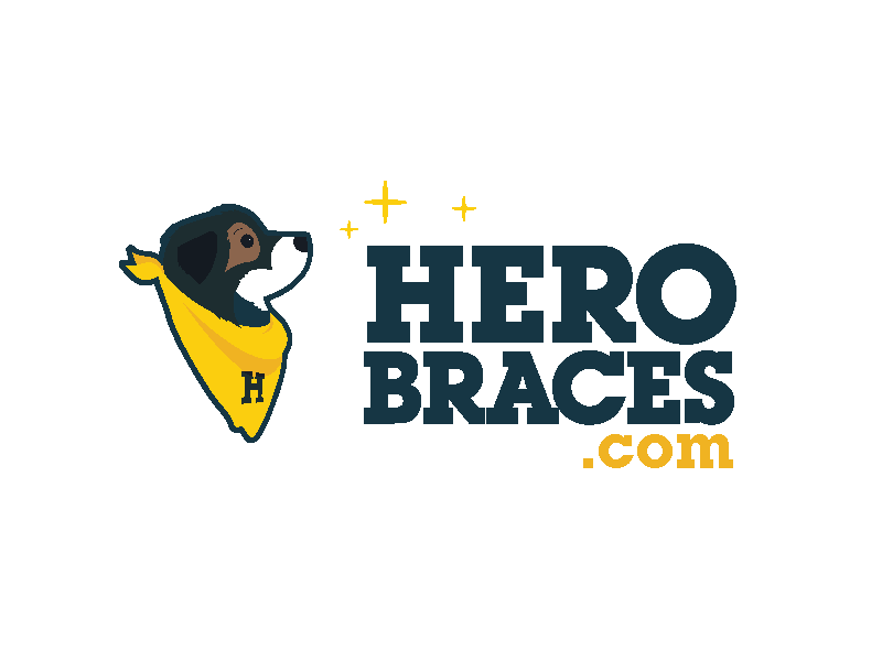 herobraces.com, custom leg bracing fit to your dog.